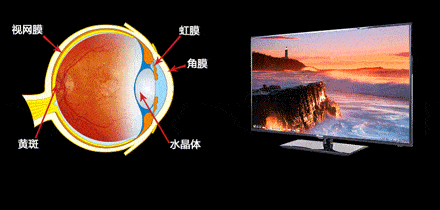 时离不开电子屏幕谁来救救我的眼睛？九游会j9入口登录新版一天18个小(图6)