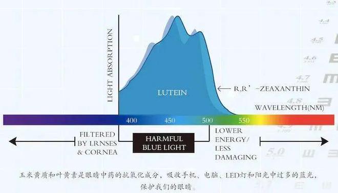 时离不开电子屏幕谁来救救我的眼睛？九游会j9入口登录新版一天18个小(图7)