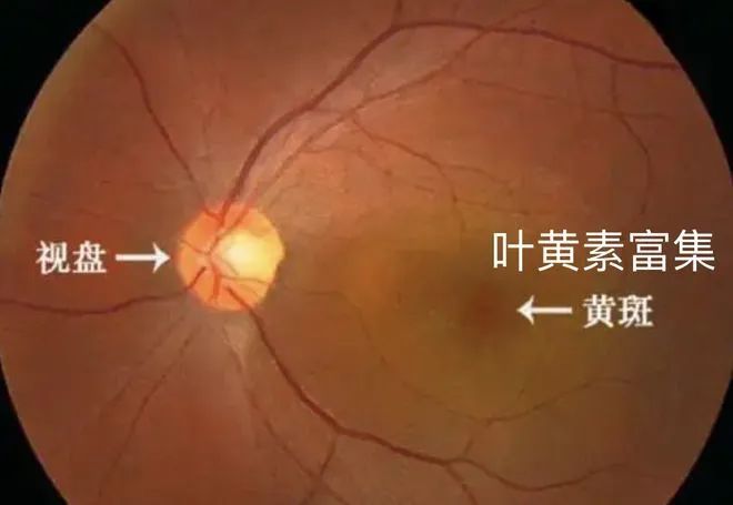 时离不开电子屏幕谁来救救我的眼睛？九游会j9入口登录新版一天18个小(图8)
