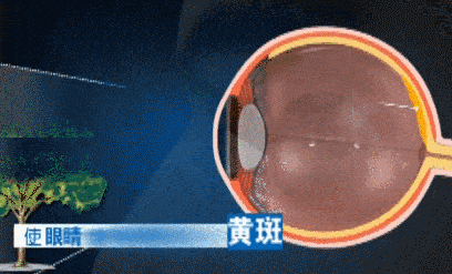 时离不开电子屏幕谁来救救我的眼睛？九游会j9入口登录新版一天18个小(图10)