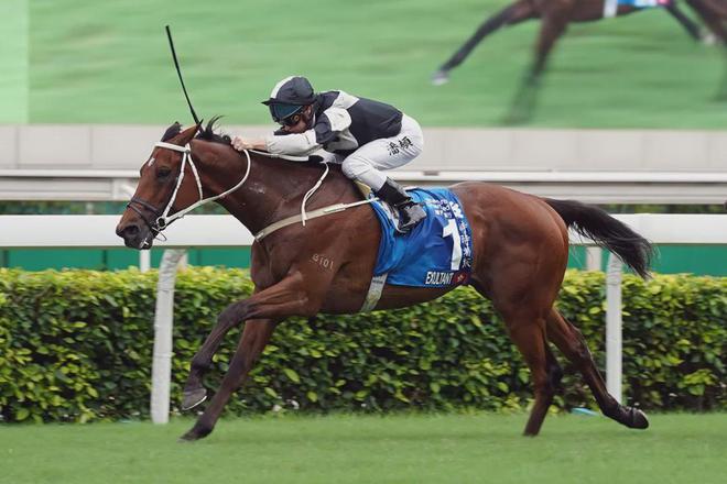 眼罩夺魁家族曾养香港马王J9国际集团王经纬赛驹戴(图2)