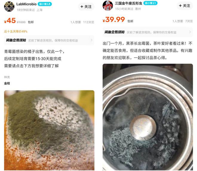 才能看见没法运营出来的神奇九游会网址是多少在闲鱼上你(图3)